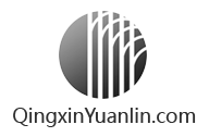 Titanium swing check valves